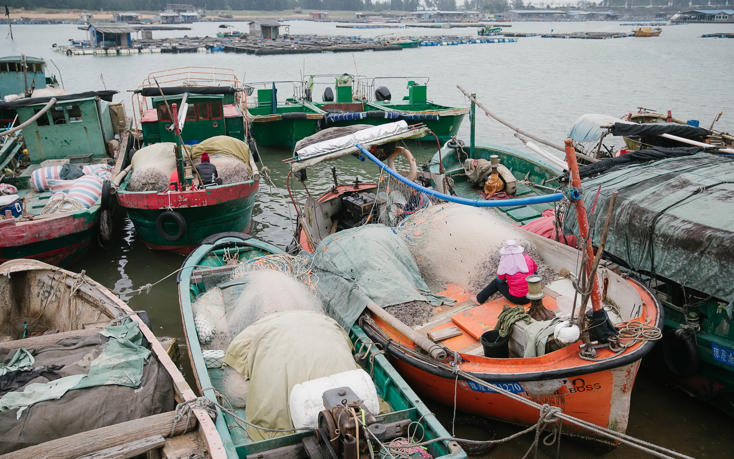 一些出海不捕魚的東水港漁人